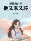 娇软美少年他又乖又坏